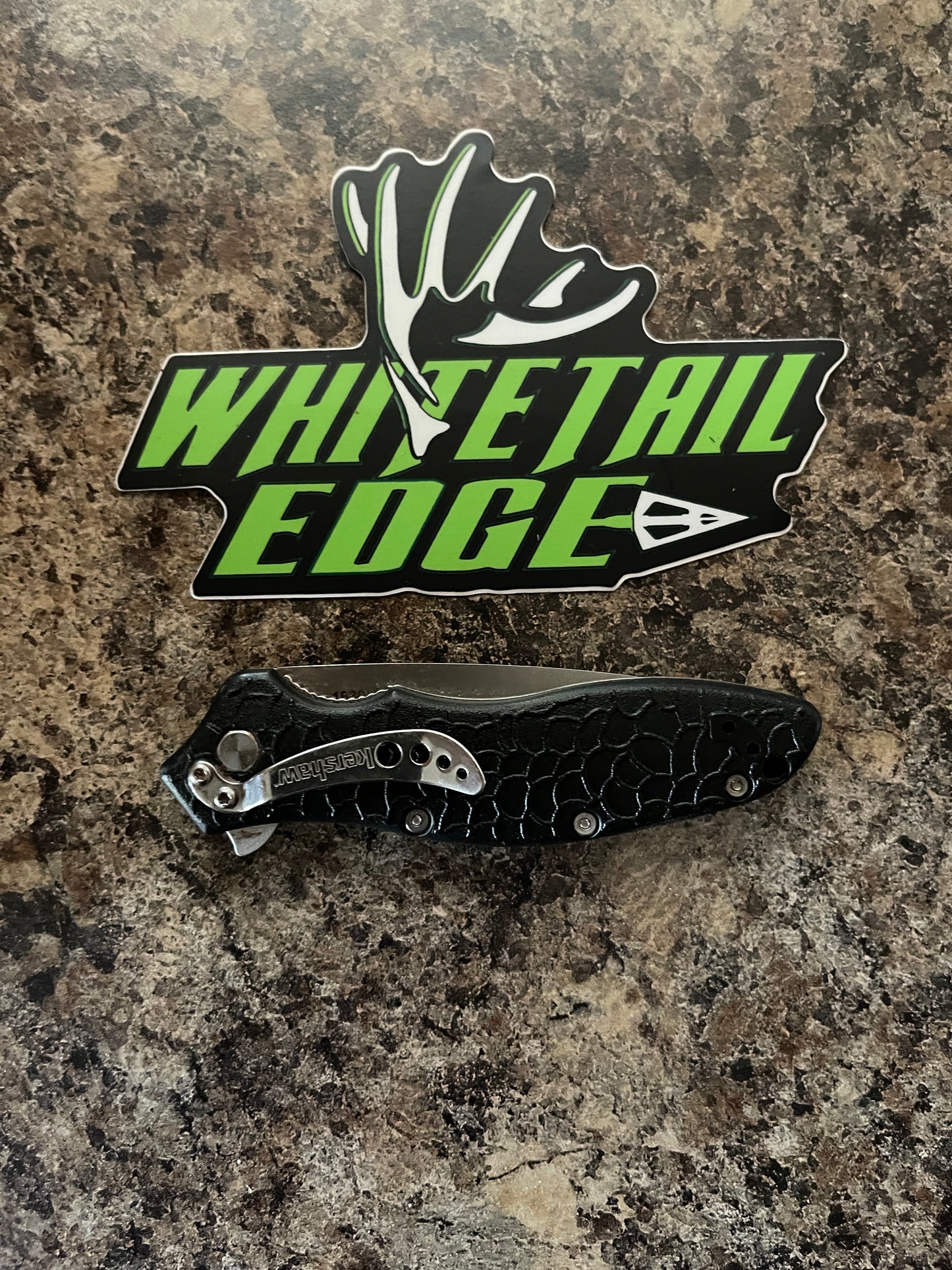 Logo Sticker
