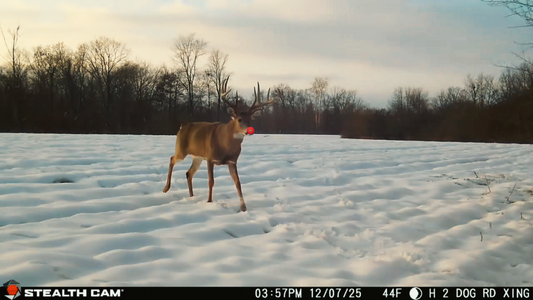Whitetail Edge Christmas Gift Guide 🎄