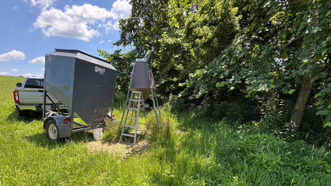 July 3, 2025 - Javin Mullet: Season 9 Countdown: Field Work and Final Touches