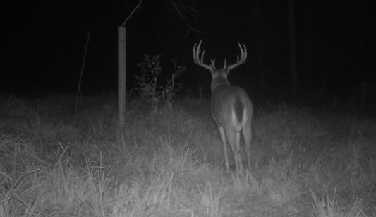 July 12, 2025 – Dewaine Jones: Stealthcam & Water Hole Setup