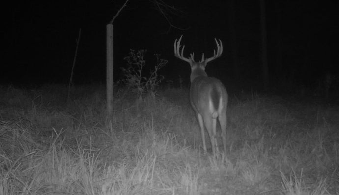 July 12, 2025 – Dewaine Jones: Stealthcam & Water Hole Setup