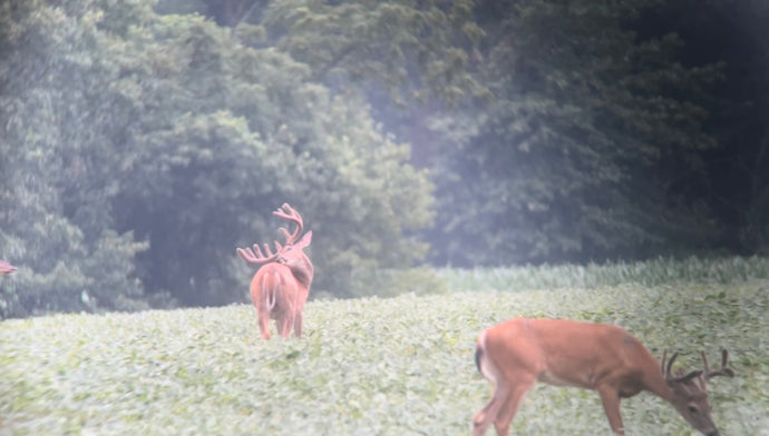 July 20, 2025 – Dewaine Jones: Chasing Permission and Velvet Bucks