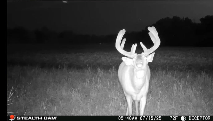 July 18, 2025 – Kenny Bevans: Fall Plot Prep and Buck Activity