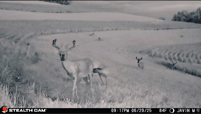 July 1, 2025 - A New Way to Follow the Hunt